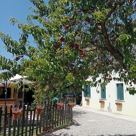 Appartamento Malcontenta Mira Exteriör bild
